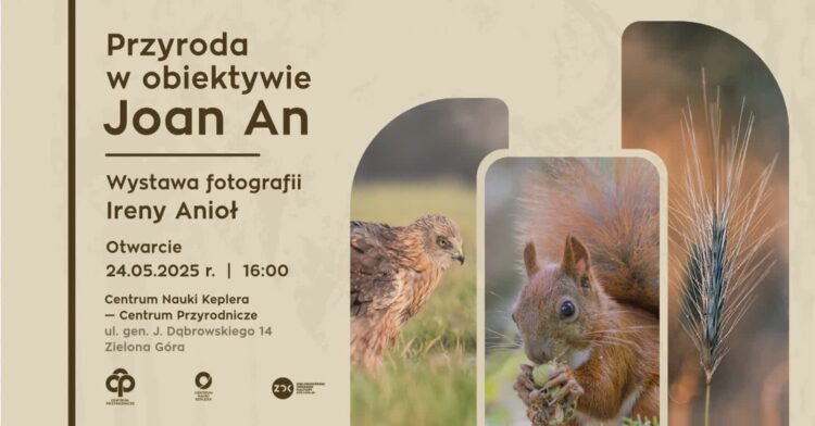 materiały organizatora