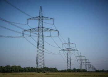 Zdjęcia ilustracyjne: Pixabay.com