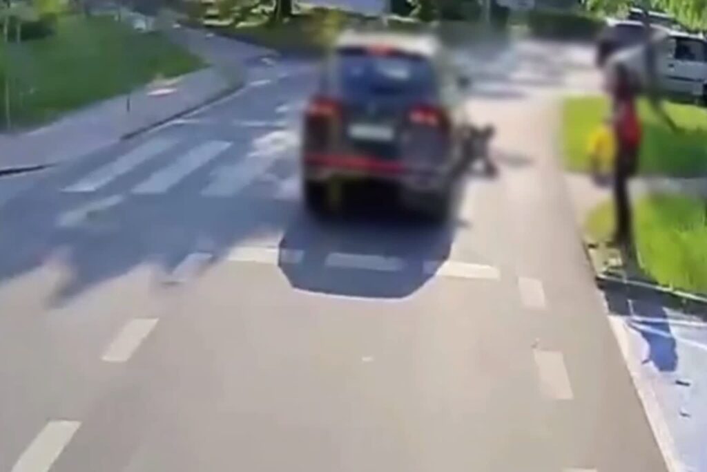 materiały pochodzą z archiwum KMP w Zielonej Górze