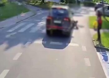 materiały pochodzą z archiwum KMP w Zielonej Górze