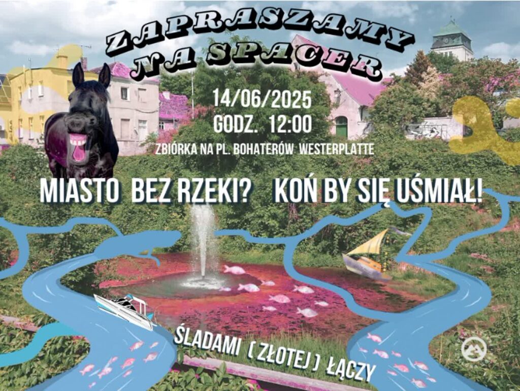 materiały prasowe organizatora