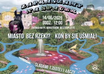 materiały prasowe organizatora