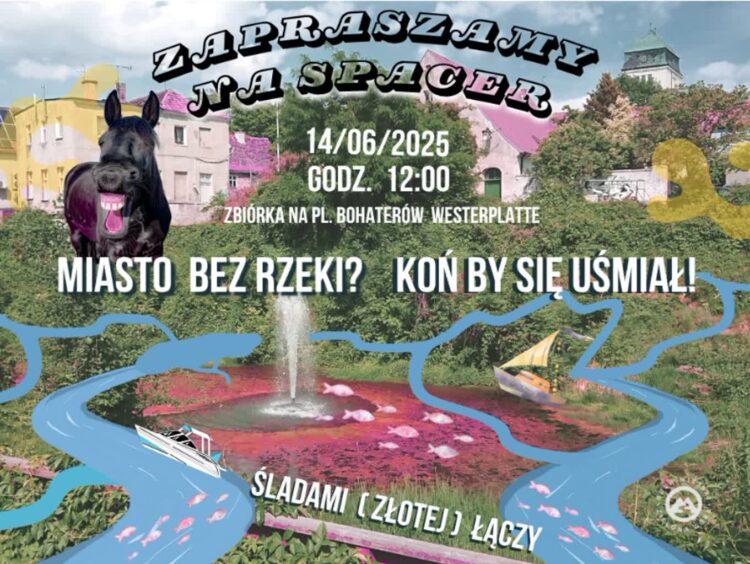 materiały prasowe organizatora