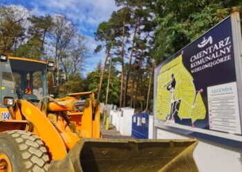 Fot. Bartosz Schaefer i Pixabay