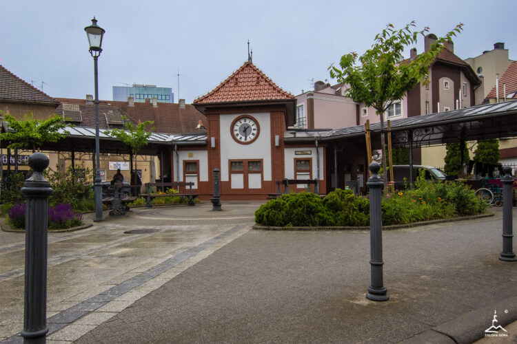 fot. Urząd Miasta Zielona Góra