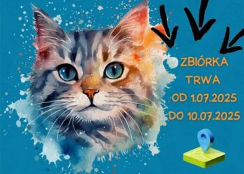 fot: materiał organizatorów