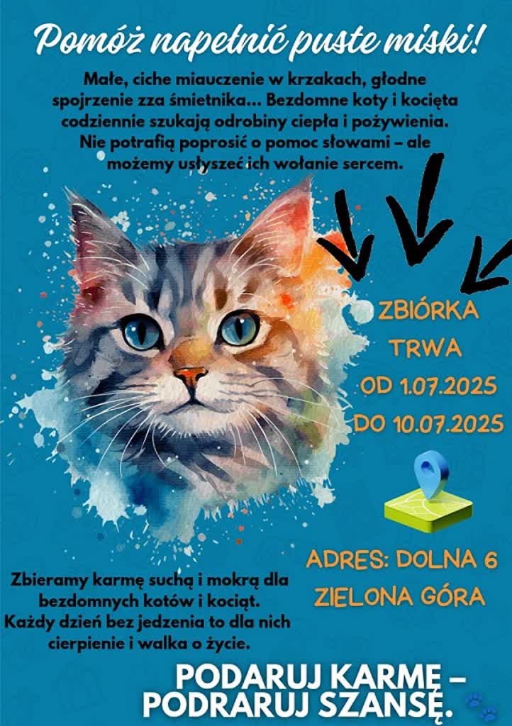 Rusza zbiórka karmy dla bezpańskich kotów