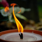 fot. Krzysztof Filmanowicz