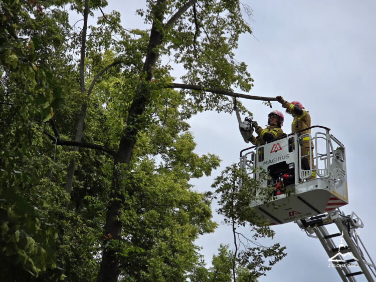Fot. UM Zielona Góra / Akcja strażaków na zielonogórskim deptaku