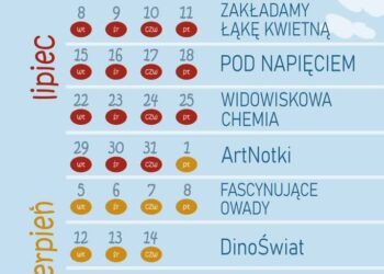 materiały organizatora