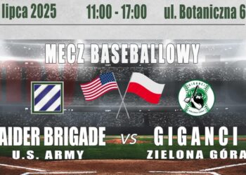 grafika: Giganci Zielona Góra