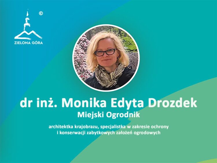 fot. Urząd Miasta Zielona Góra