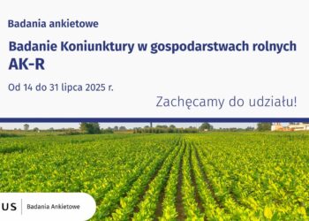 fot. Urząd Statystyczny w Zielonej Górze