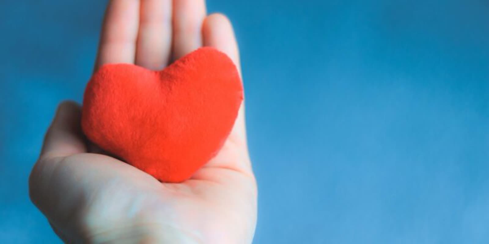 „Z wolontariatem za pan brat” – projekt Stowarzyszenia Ex Dono