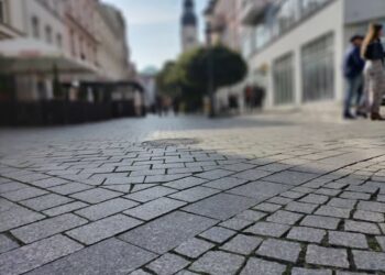 Fot. Marta Czechowska