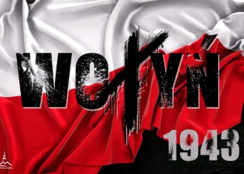 grafika: UM Zielona Góra