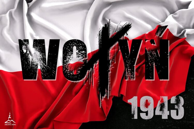 grafika: UM Zielona Góra