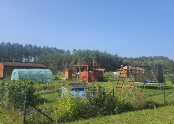 fot. ZGK Zielona Góra