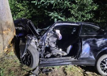 fot. KMP w Zielonej Górze