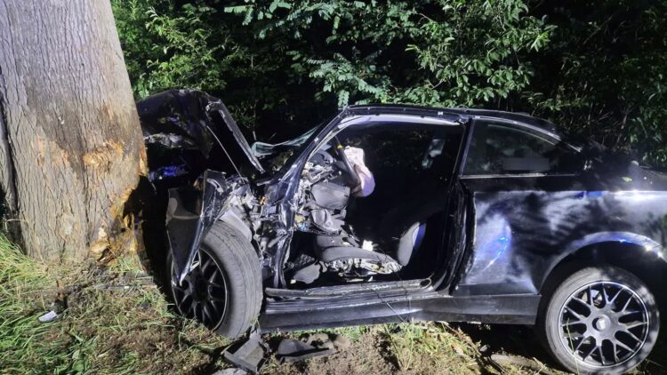 fot. KMP w Zielonej Górze