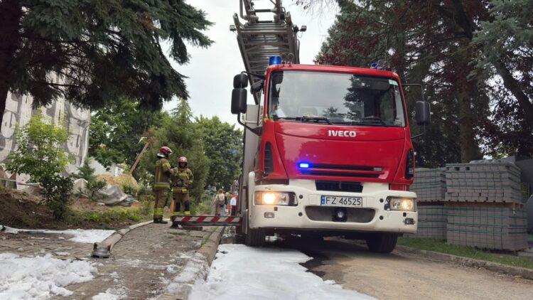 fot. Arkadiusz Kaniak