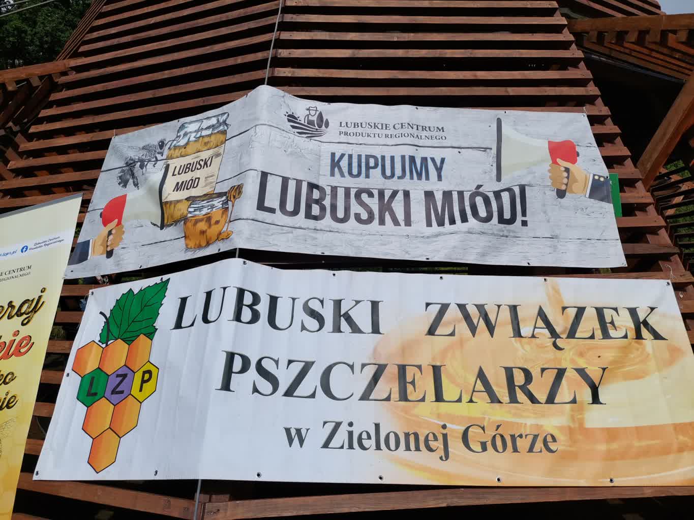 VI Lubuskie Miodobranie w Zielonej Górze [ZDJĘCIA]