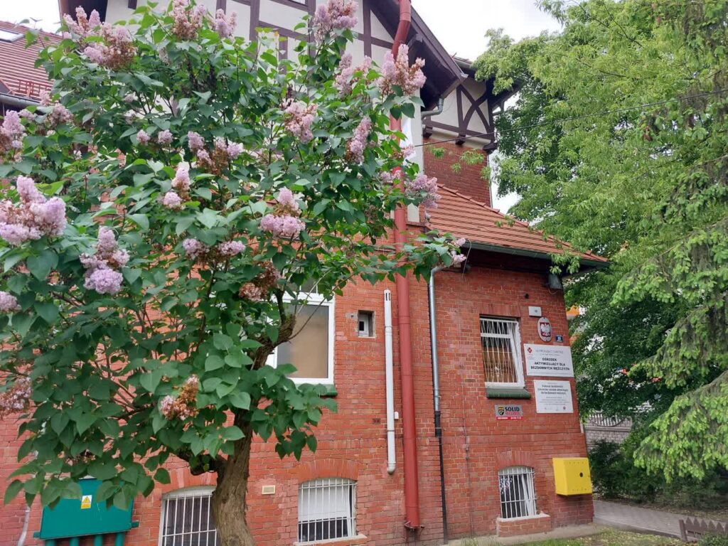 fot: archiwum Z.Popielecka