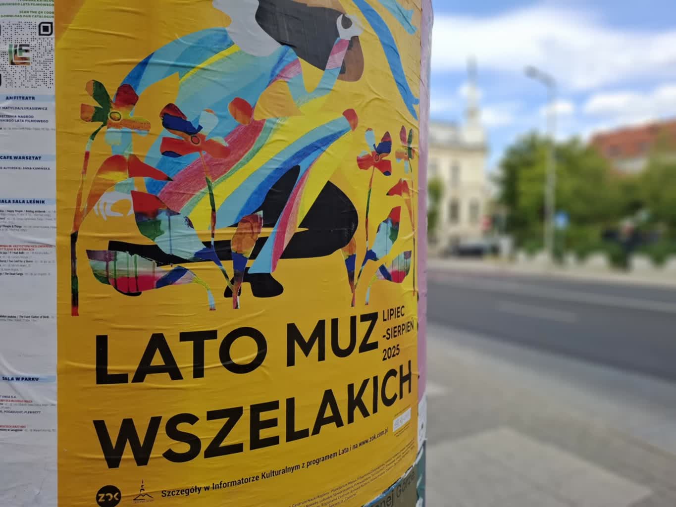 Lato Muz Wszelakich – tydzień 6