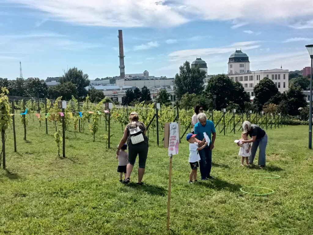 arch: Rodzynkowanie 2023r. fot. J. Mielcarz