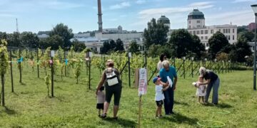 arch: Rodzynkowanie 2023r. fot. J. Mielcarz