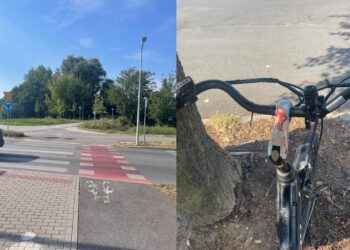 Policja Zielona Góra