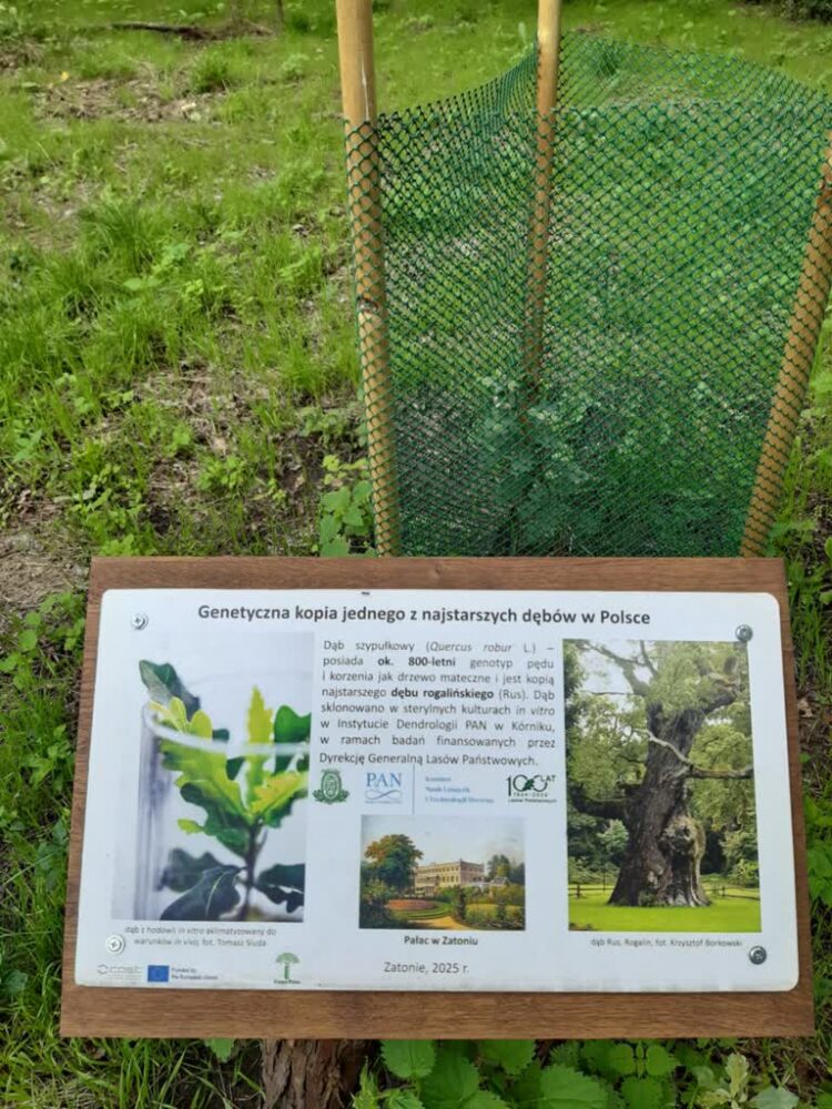 fot: FB Park Książęcy w Zatoniu