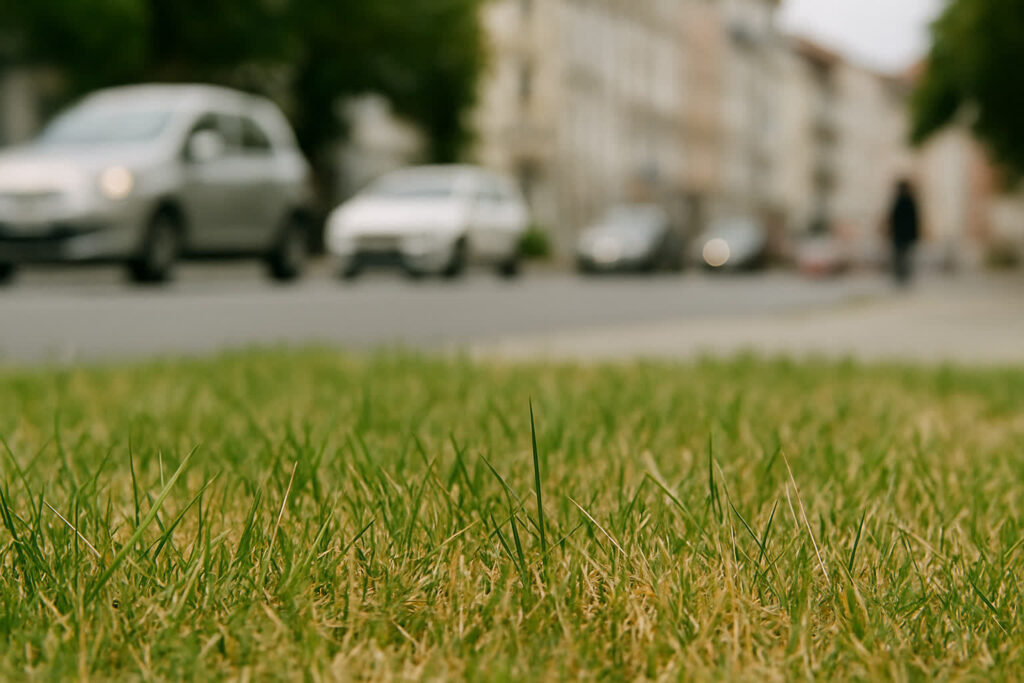 zdjęcie wygenerowane przez sztuczną inteligencję