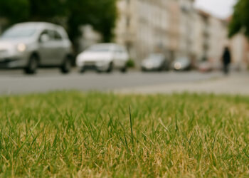 zdjęcie wygenerowane przez sztuczną inteligencję