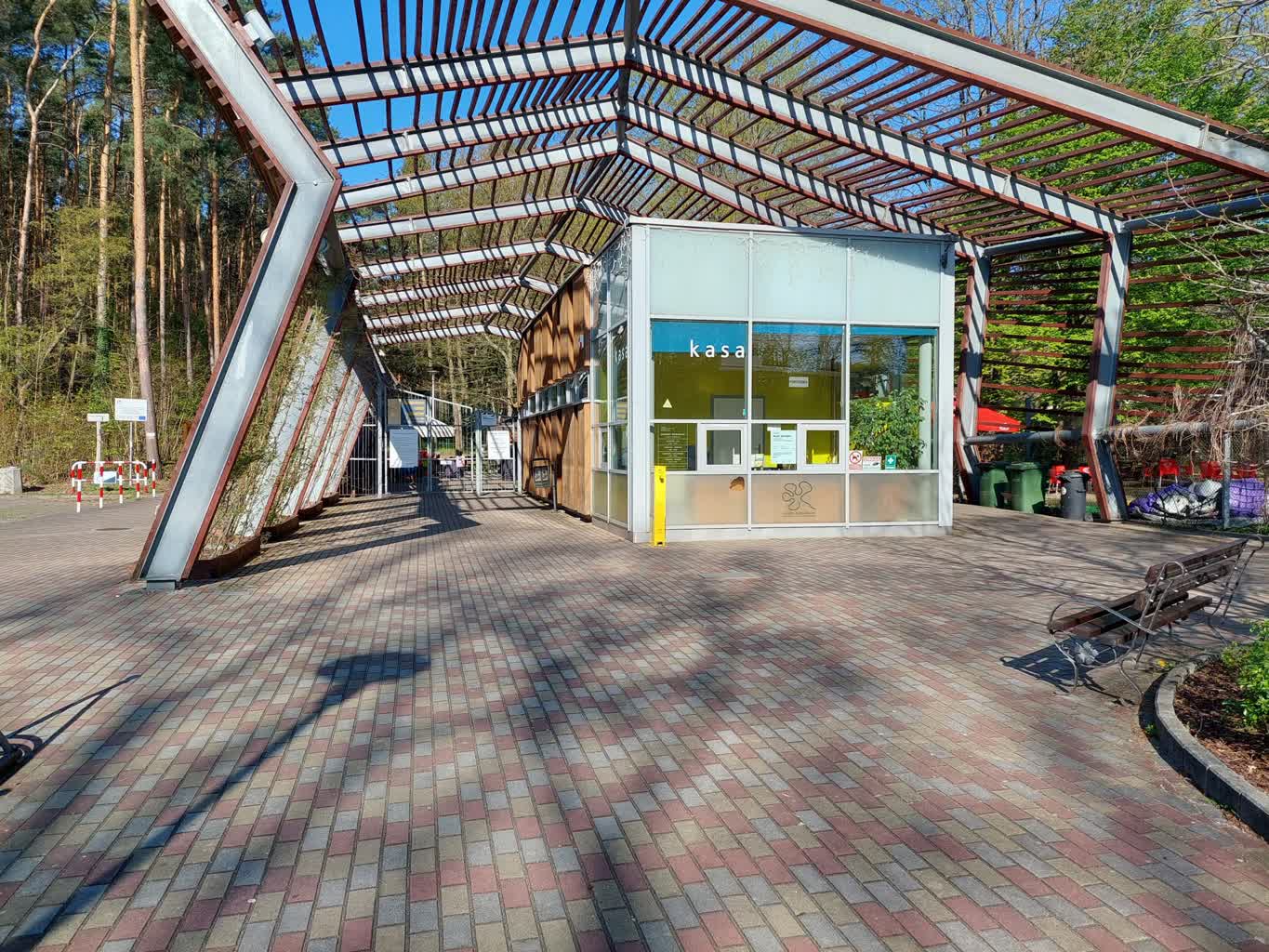 Już niedługo w Ogrodzie Botanicznym pojawi się wystawa dinozaurów