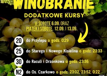 fot: MZK Zielona Góra