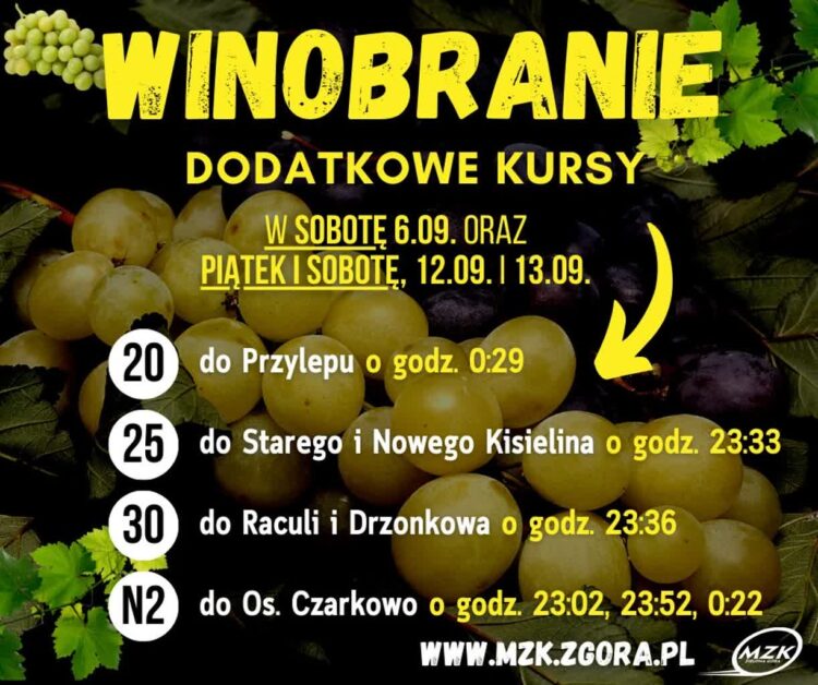 fot: MZK Zielona Góra