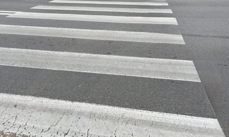 fot. Aurelia Adaszyńska