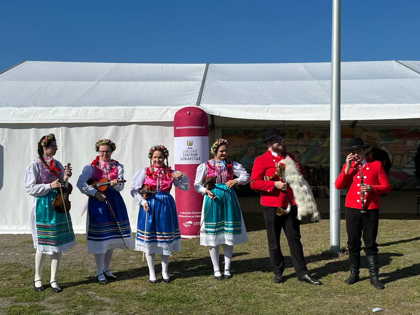 Winobranie w Winnicy Samorządowej w Zatoniu