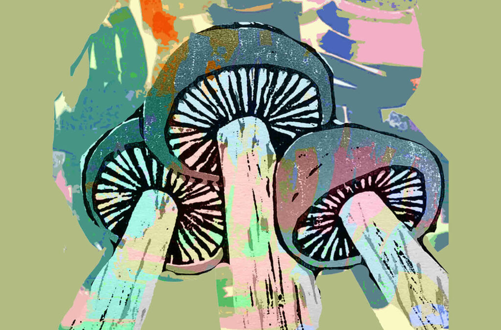 materiały prasowe organizatora