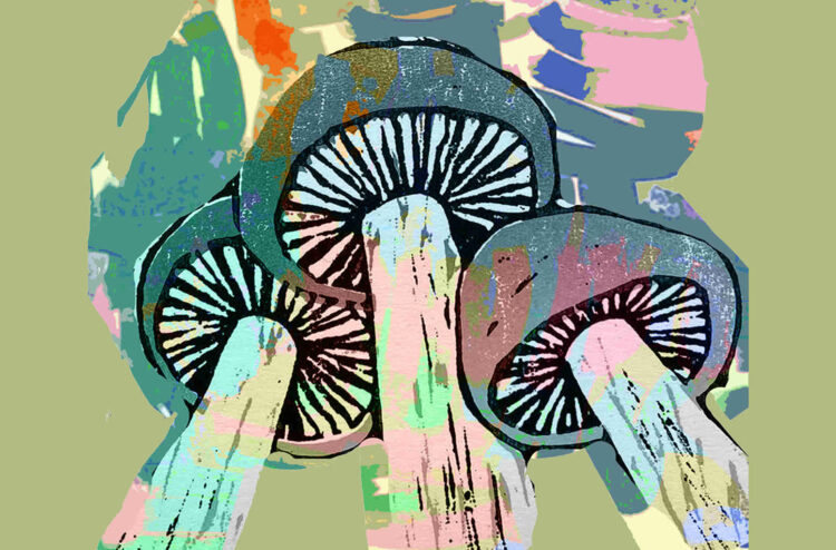 materiały prasowe organizatora