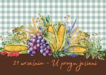 materiał organizatorów