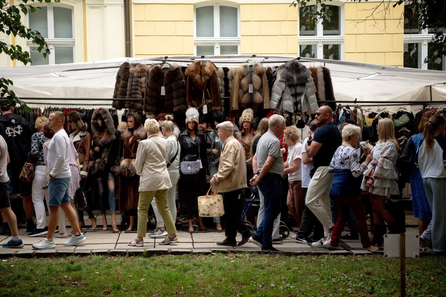 Muzealnicy oceniają Winobranie