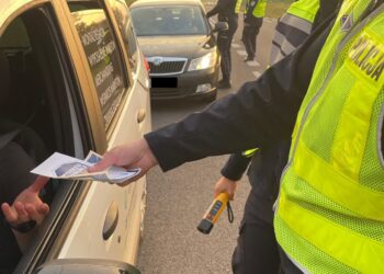 fot: Katarzyna Świerkowska-Teska