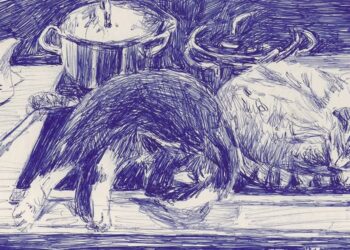 materiały prasowe organizatora