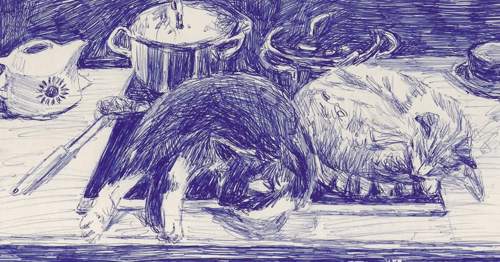 Prace Agaty Siwek w MZL