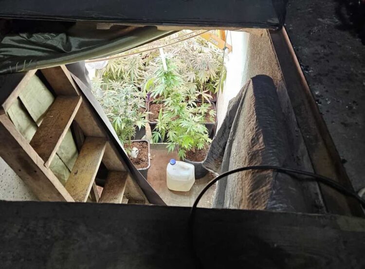 Policja Zielona Góra