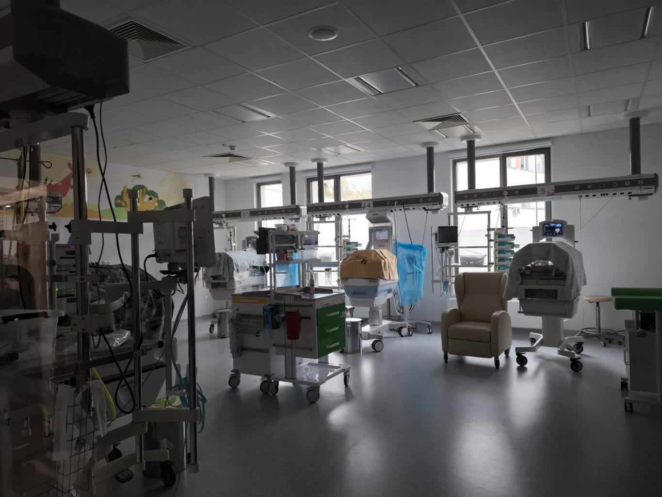 Piknik rodzinny z okazji Dnia Wcześniaka