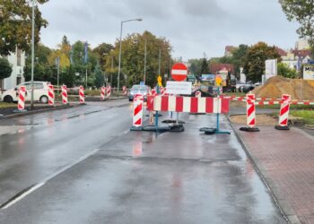 fot: Katarzyna Świerkowska-Teska