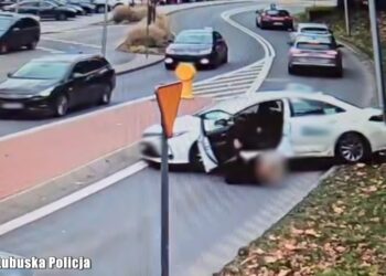 Fot. Lubuska Policja